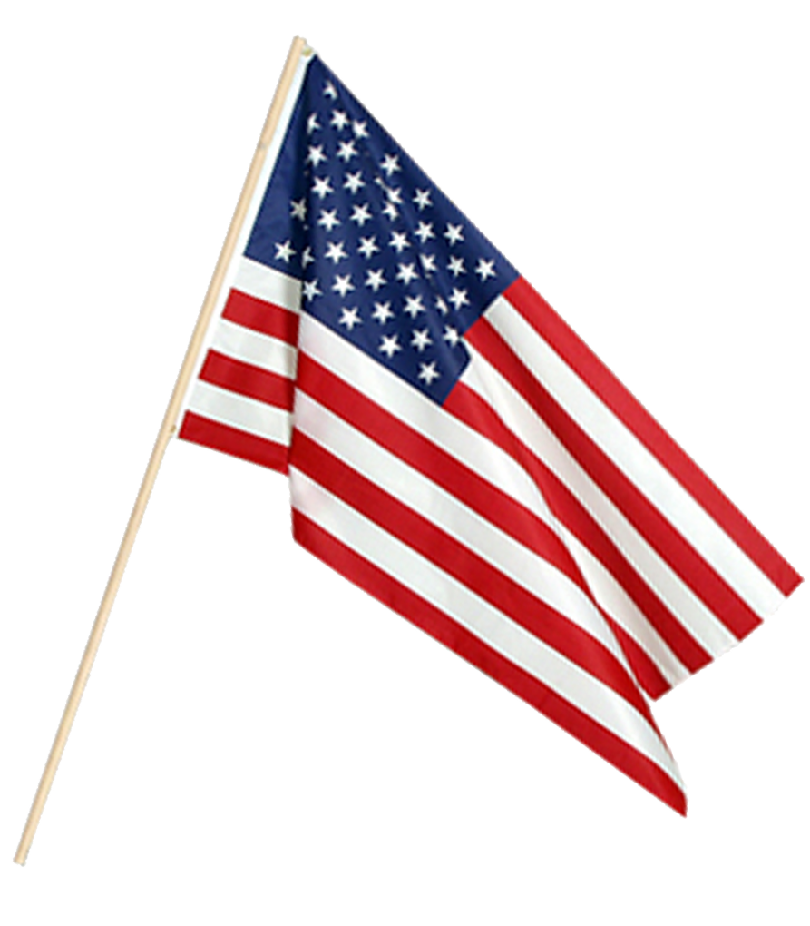 a small American flag on a stick in a lawn